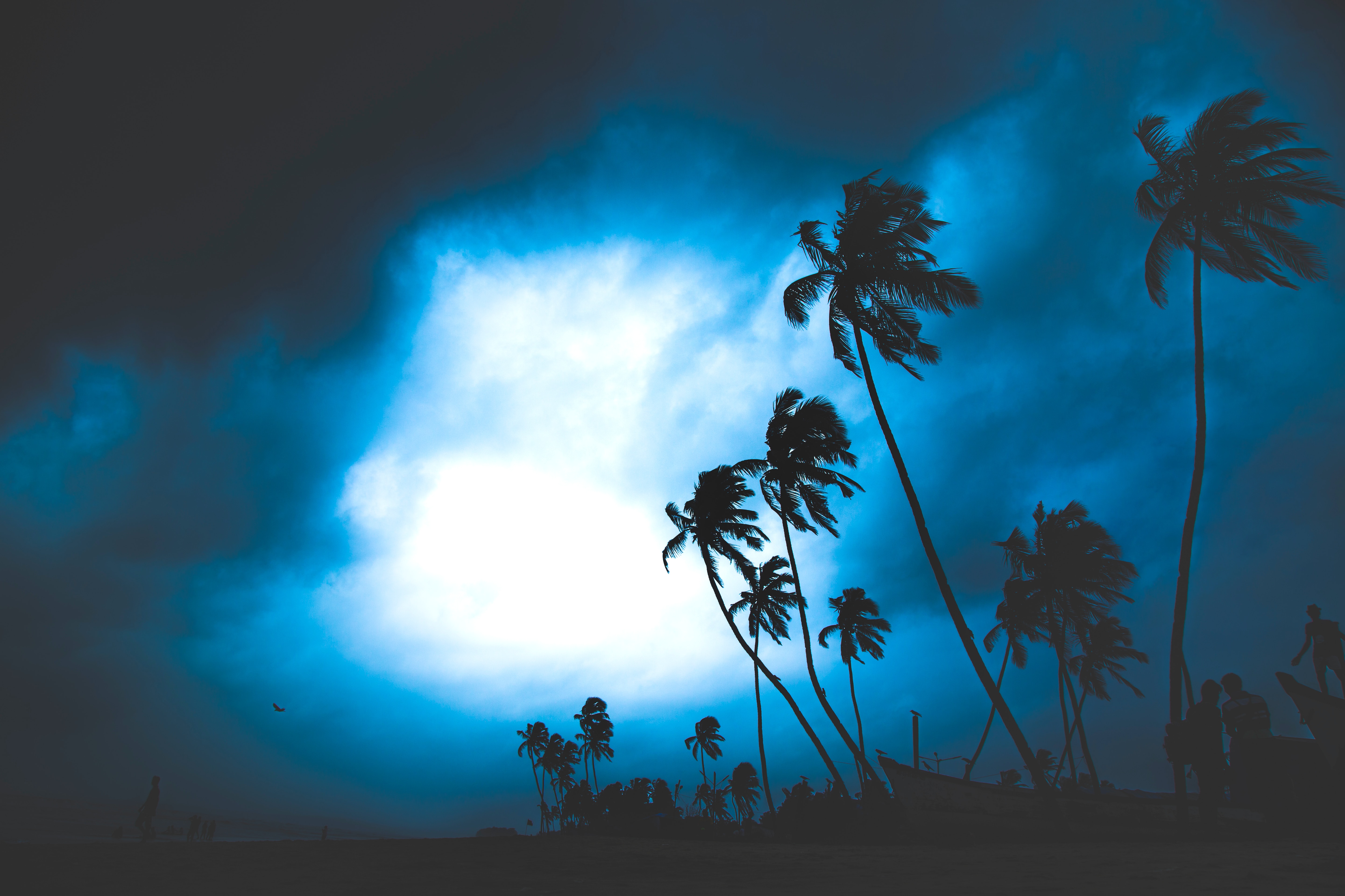 Fund Header Image