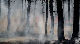 Fund Header Image