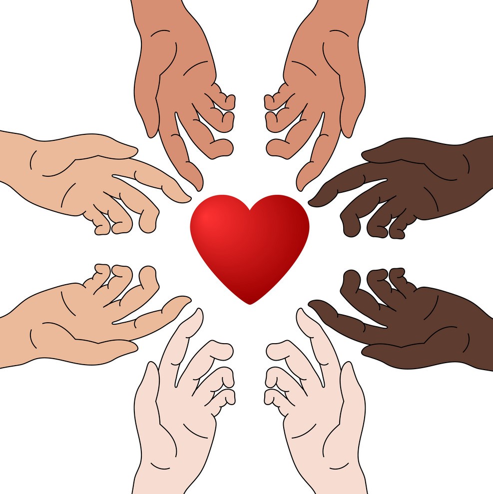 Fund Header Image