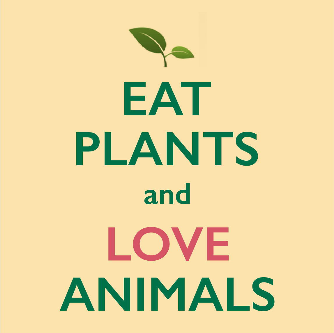 Fund Header Image