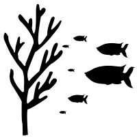 Fund Header Image