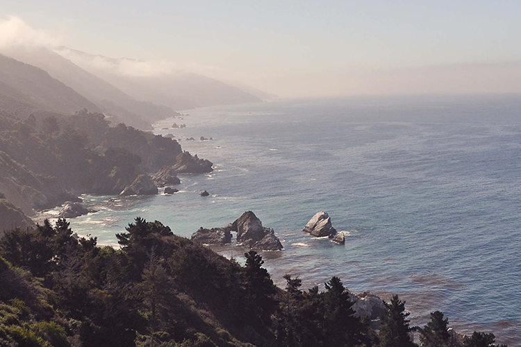 Fund Header Image