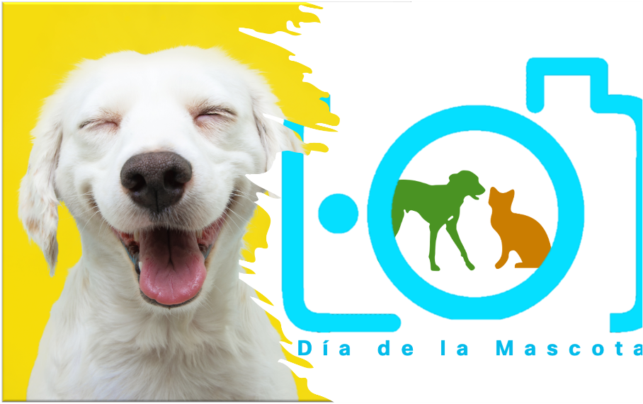 Fund Header Image