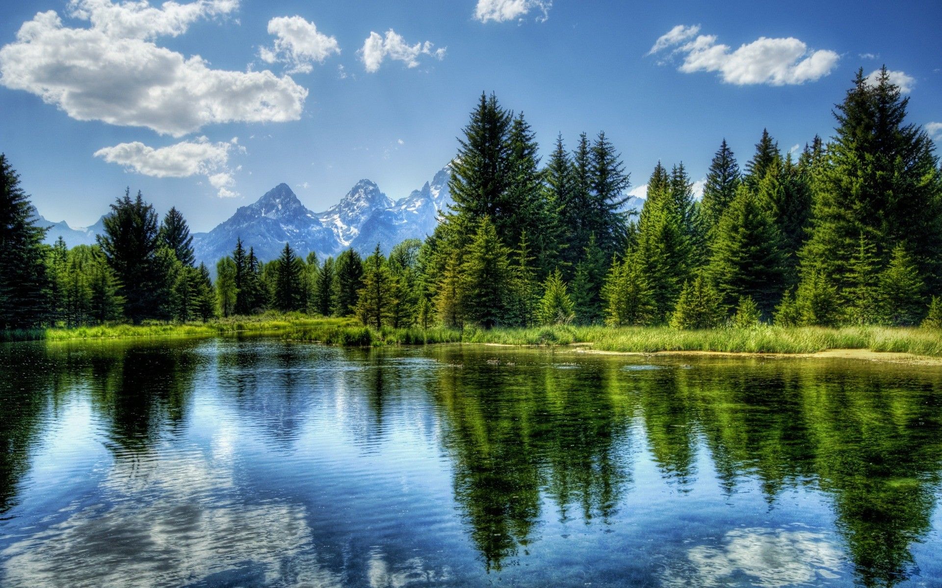 Fund Header Image