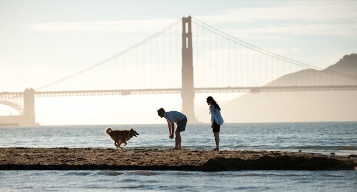 Fund Header Image