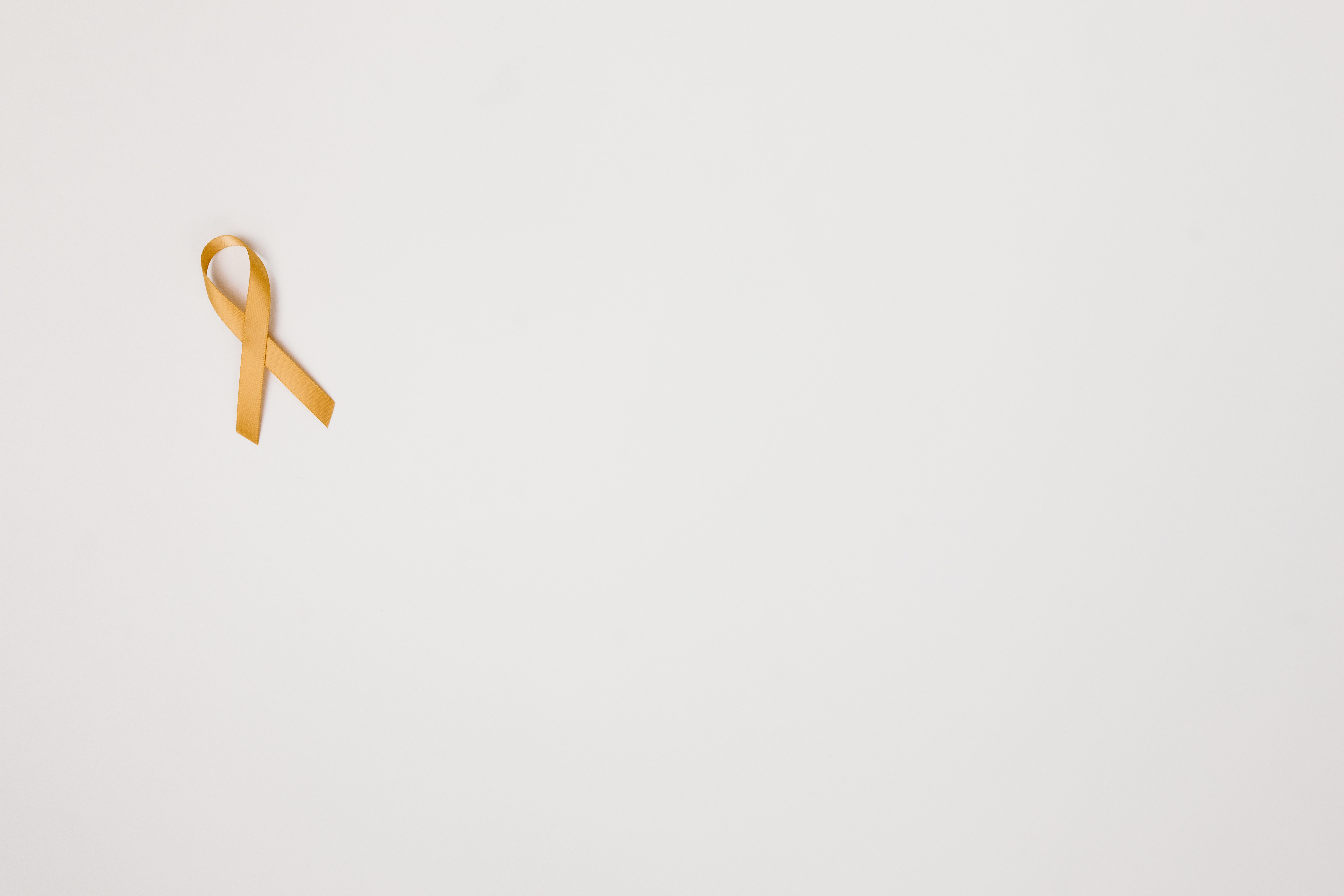 Fund Header Image