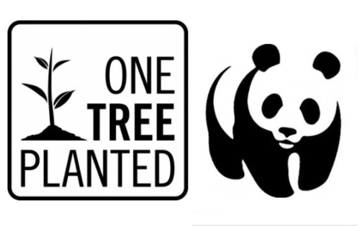 Fund Header Image