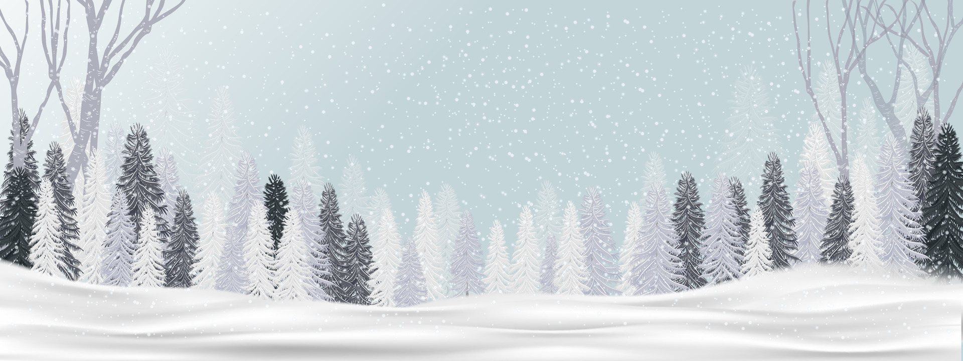 Fund Header Image