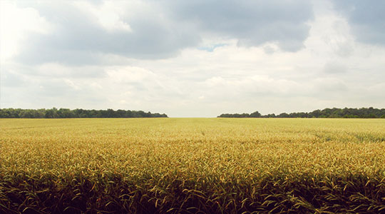 Fund Header Image