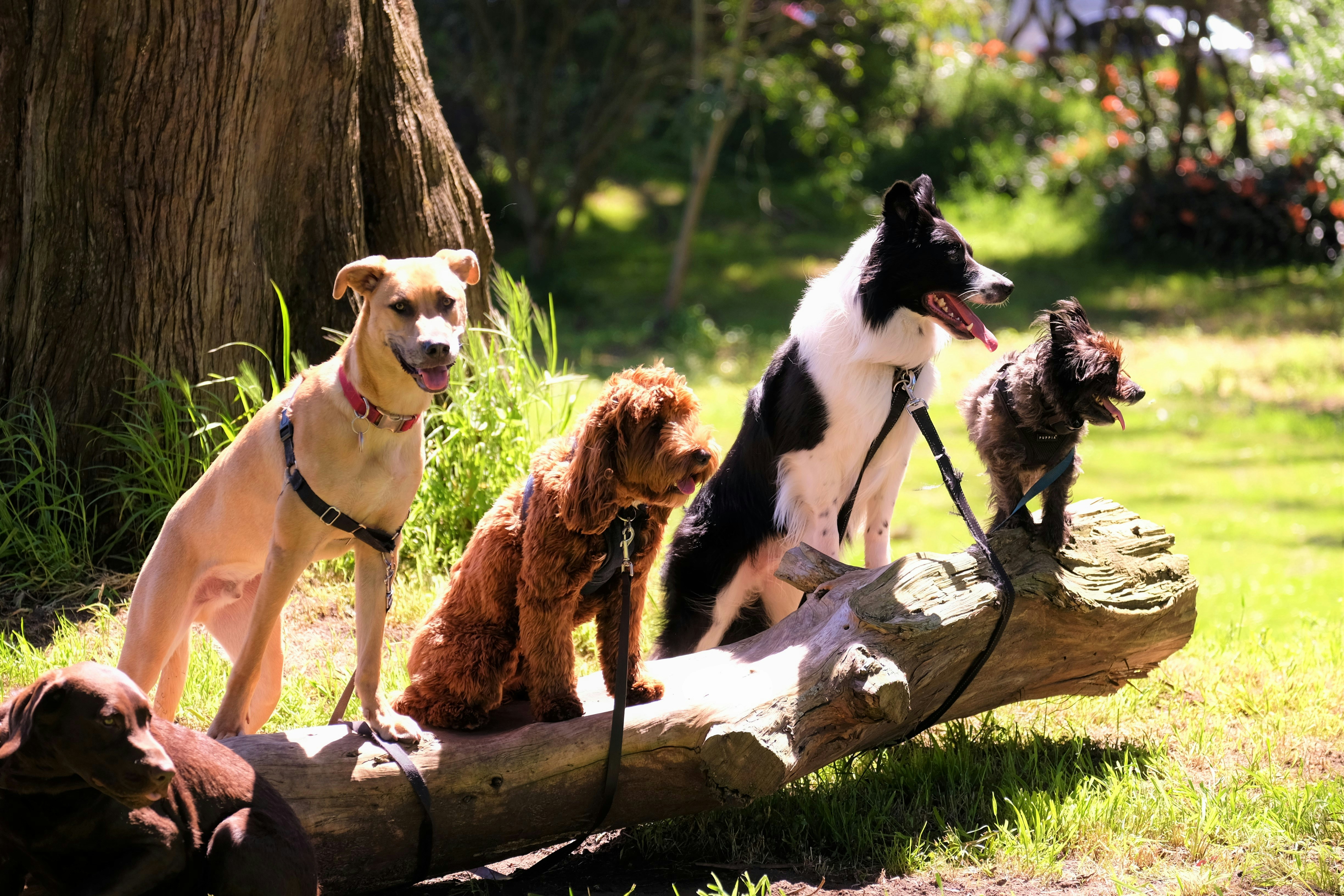 Fund Header Image