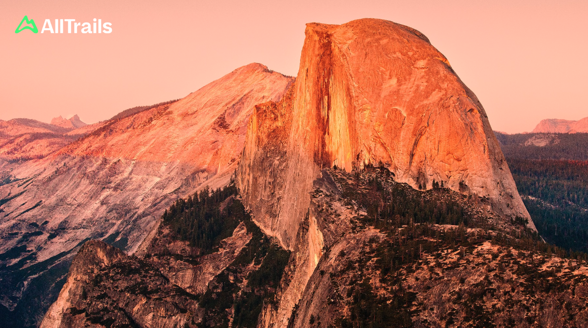 Fund Header Image
