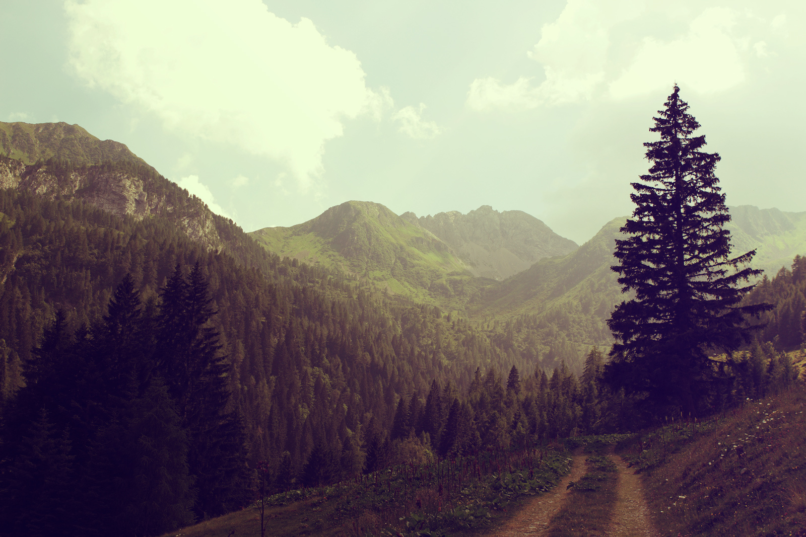 Fund Header Image