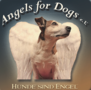 Angels for Dogs