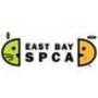 East Bay SPCA