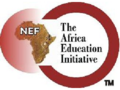 The Africa Education Initiative