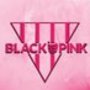 Black and Pink Inc