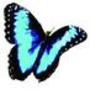 Jordan Smelski Foundation For Amoeba Awareness Inc