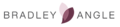 Bradley Angle House