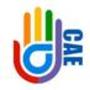 Center for Anti-Violence Education