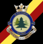 800 Black Forest Squadron Royal Canadian Air Cadets