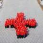 Hong Kong Red Cross