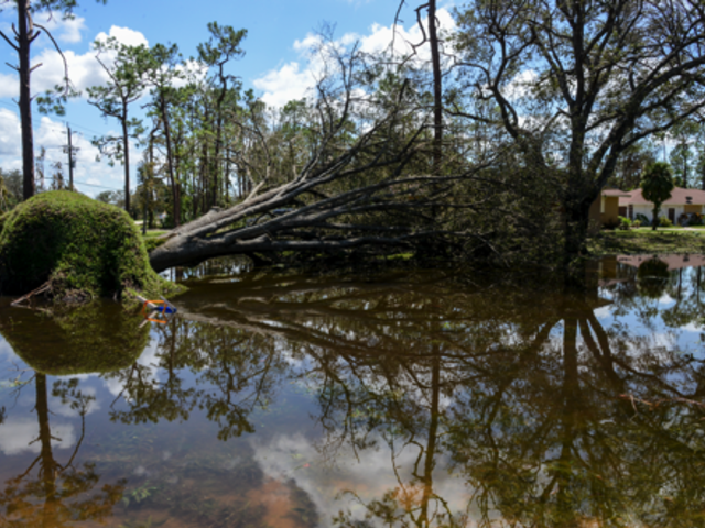 Hurricane Irma Aftermath
