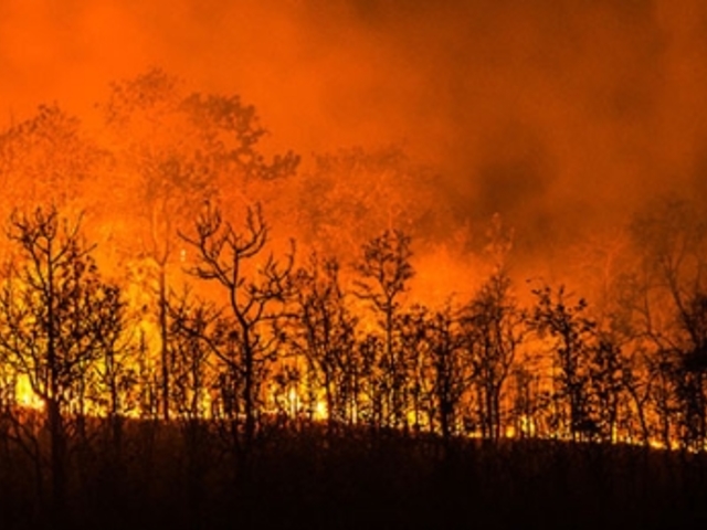 California Wildfires: Red Cross Provides Shelter, Food, Comfort