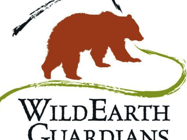 Guardians Cheers Postponement of Oil and Gas Auction Near Great Sand Dunes, Calls for Permanent Protections