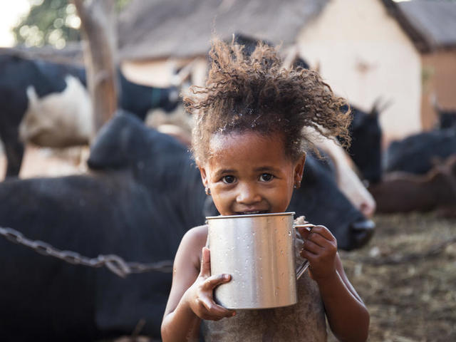 Everything You Need to Know About the HLPF