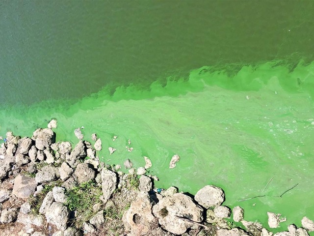 Waterkeepers Fight to Save Florida From Toxic Algae