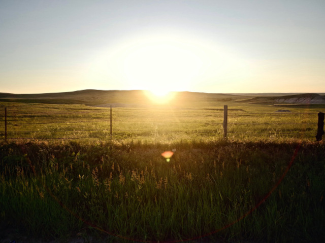 Grounding Our Work Across Cultures: Indigenous Perspectives