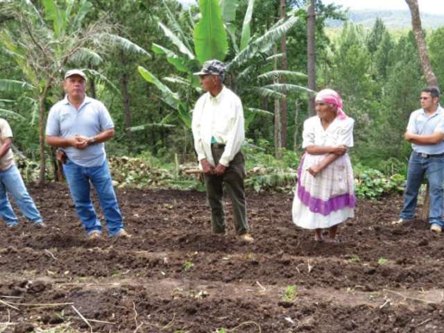 Farming + Finance for a Path Out of Poverty