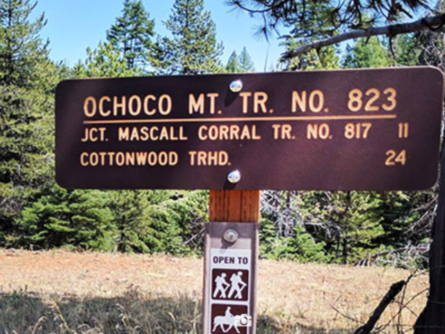 Ochoco National Forest Officially Spared from New Off-road Vehicle Trails