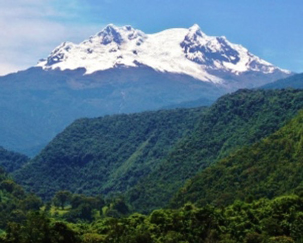 Rainforest Trust makes largest conservation land purchase in tropics