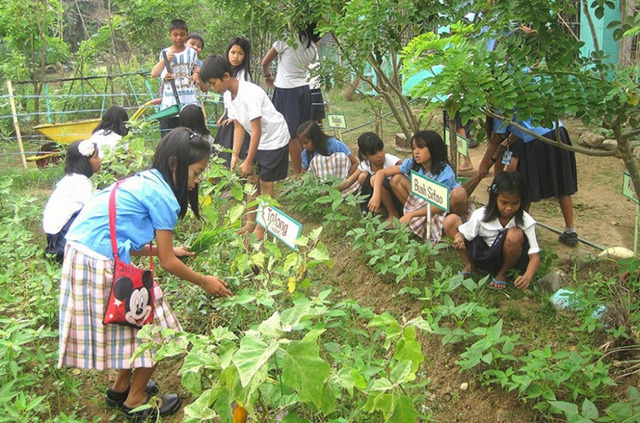IIRR has planted 67 school gardens to increase food security & sustainable wealth