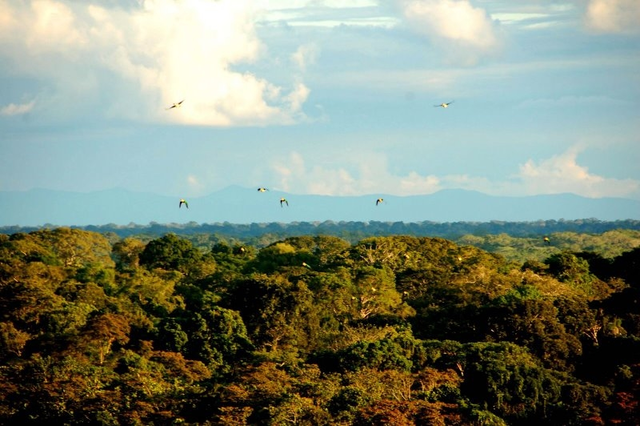 Million-Dollar Fund Established for Conservation Concession